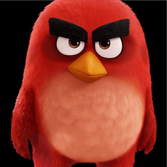 Meet your Posher, Jaden - Picture 1 of 1